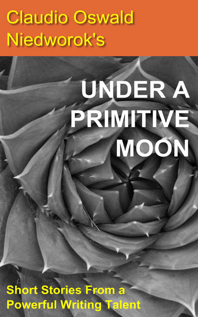 e-book under a primitive moon by claudio oswald niedworok